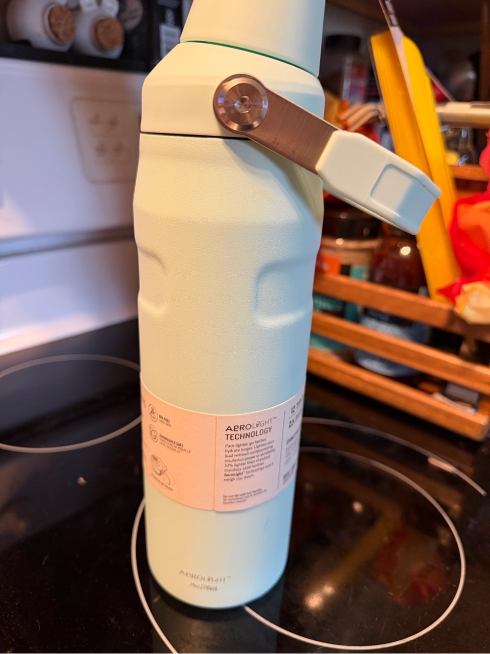 Stanley Mint Green Insulated Water Bottle with Carry Handle